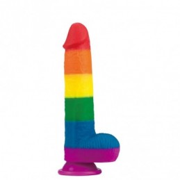Gode ventouse couleur LGBT...