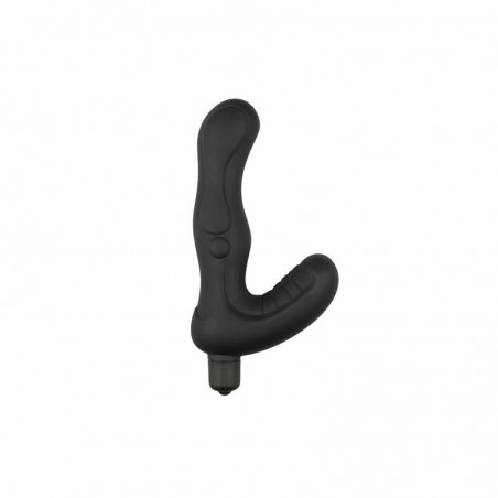 Stimulateur prostate et périnée vibrant EASYTOYS