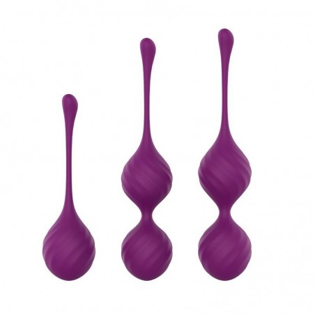 Set boules de Kegel silicone violet Taylor 2.0 ENGILY ROSS
