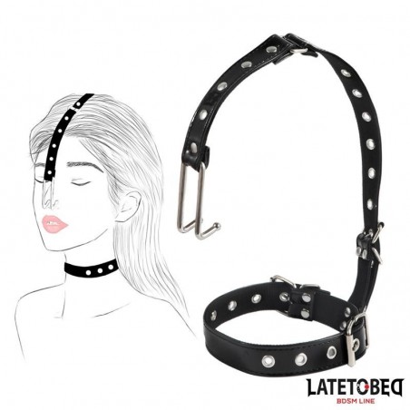 Collier BDSM avec crochet pour nez LATETOBED