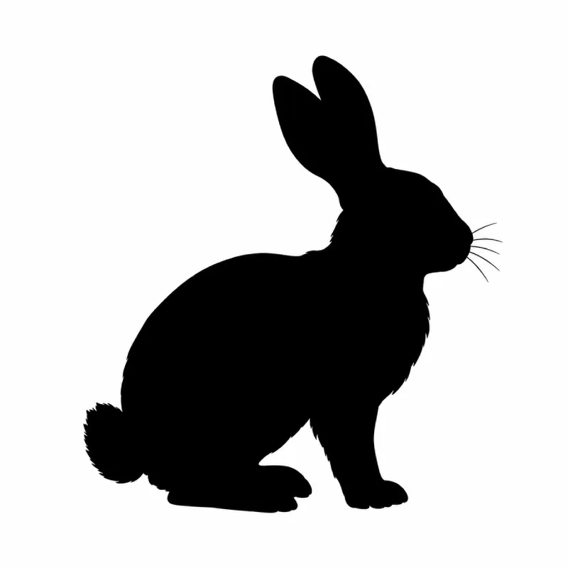 Comment utiliser un vibromasseur rabbit ?